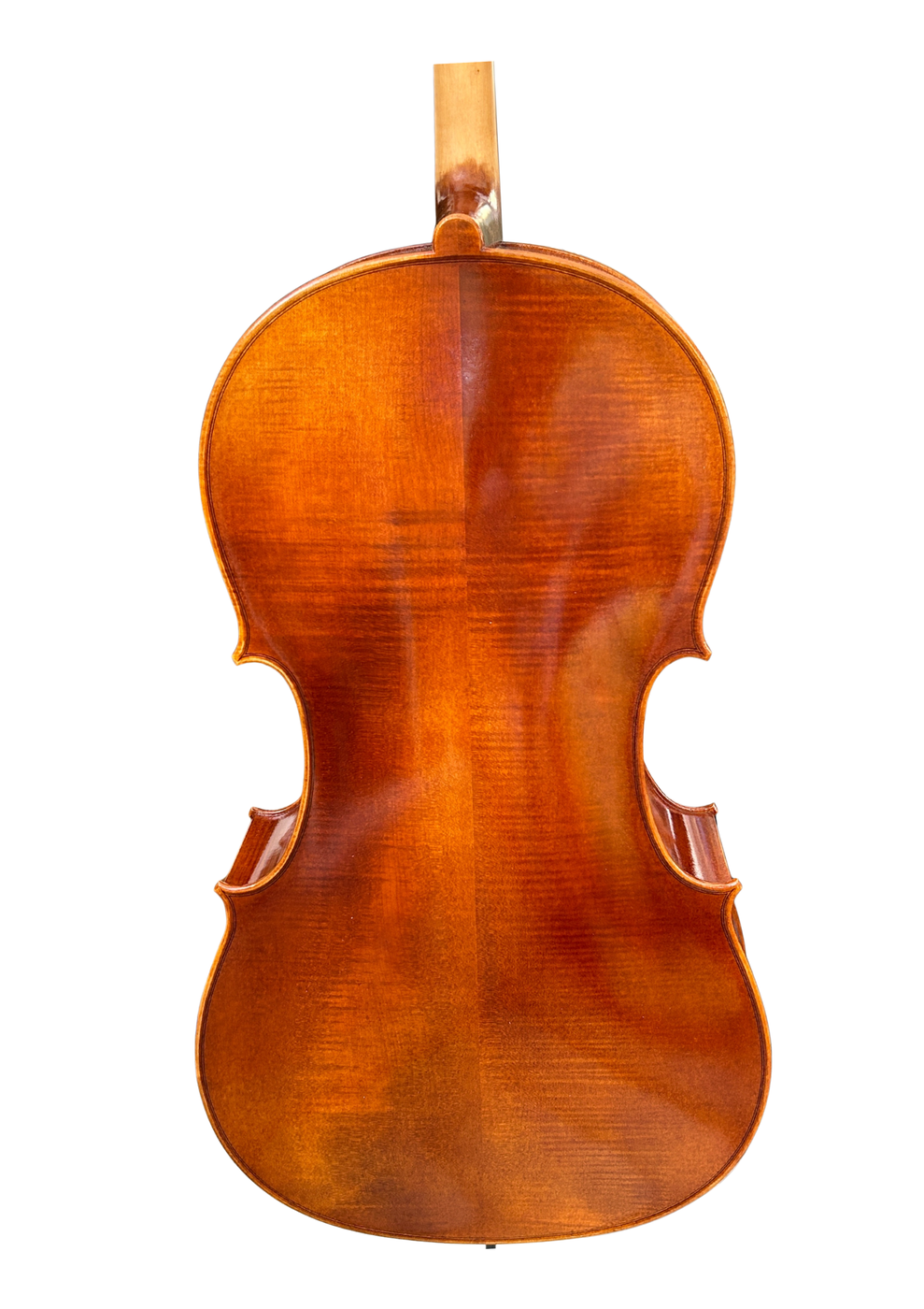 Prima P230 Back