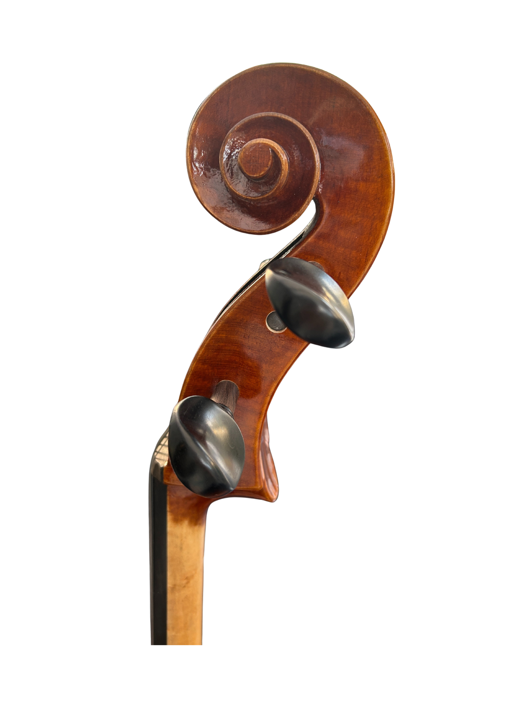 Prima P230 Head