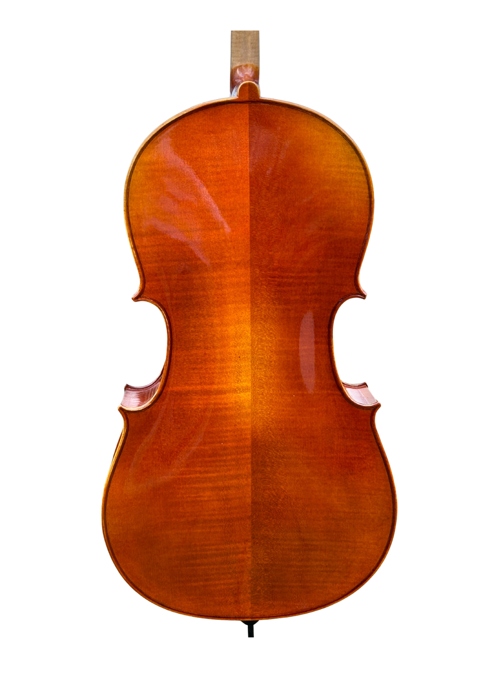Prima P231 Back