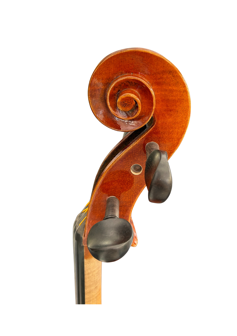 Prima P231 Head