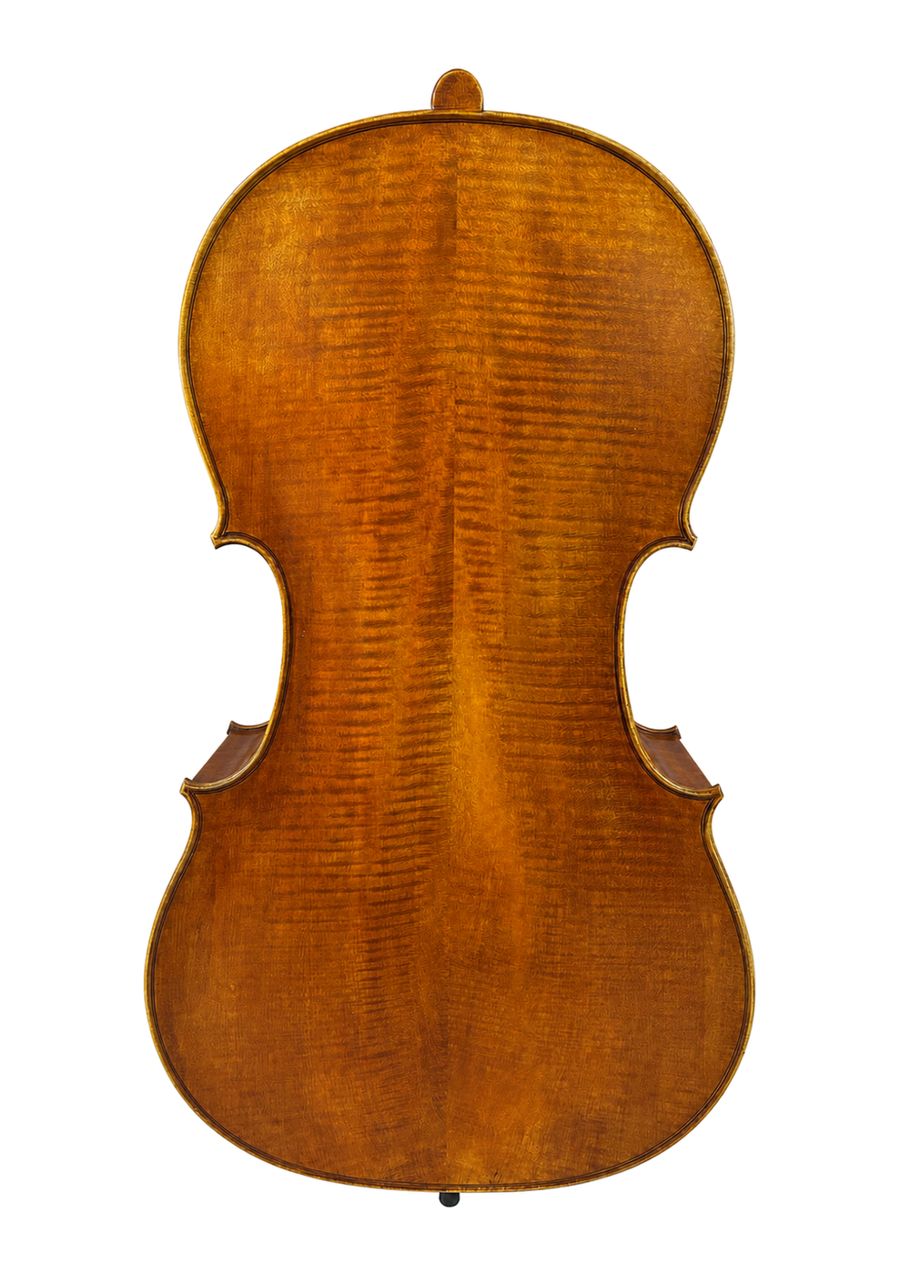 Prima P232 Back