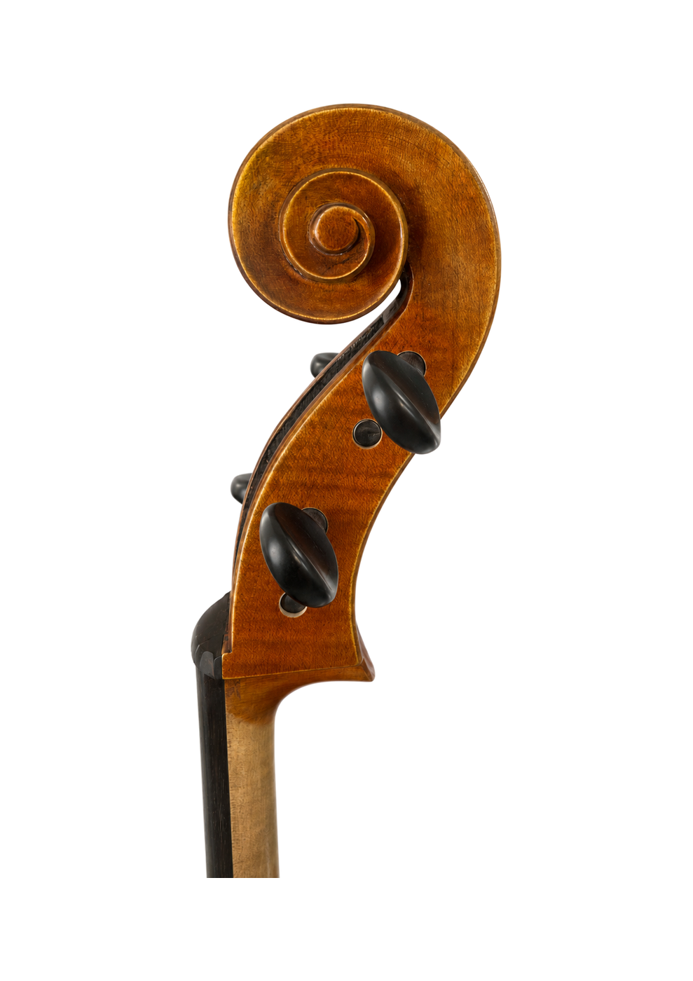 Prima P232 Head