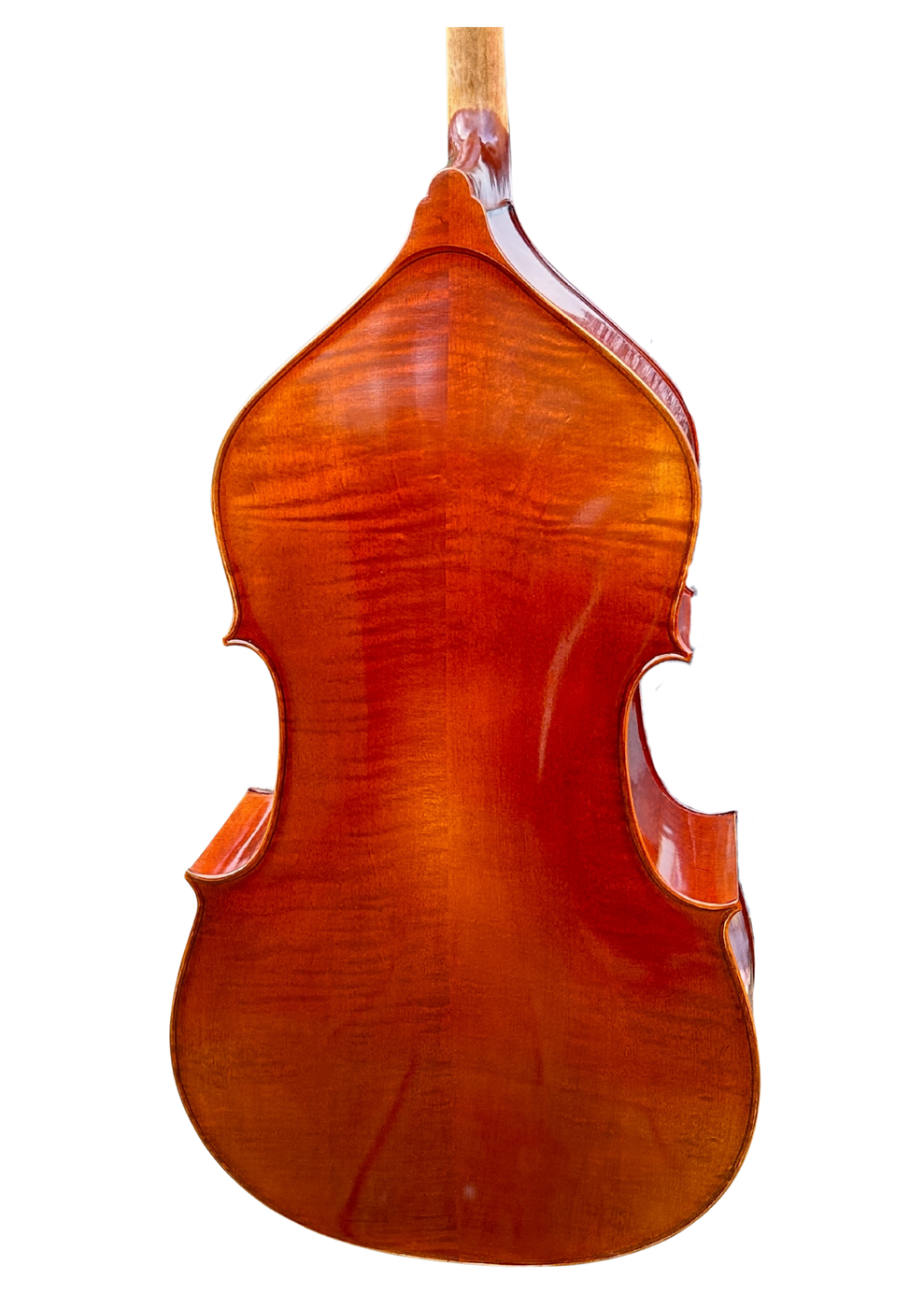Prima P240 Back