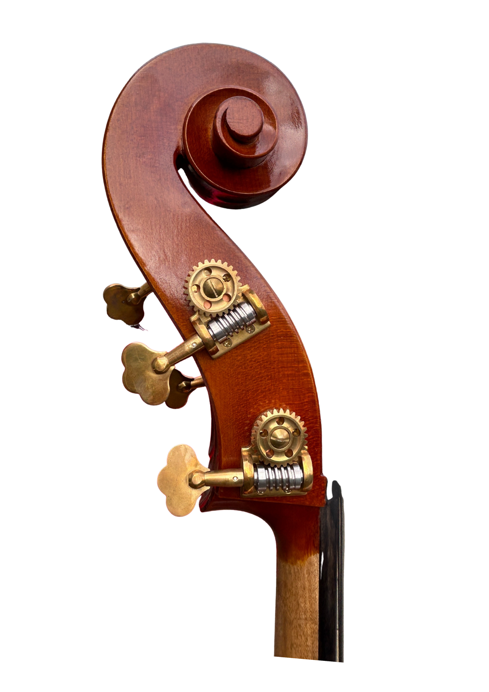Prima P240 Head