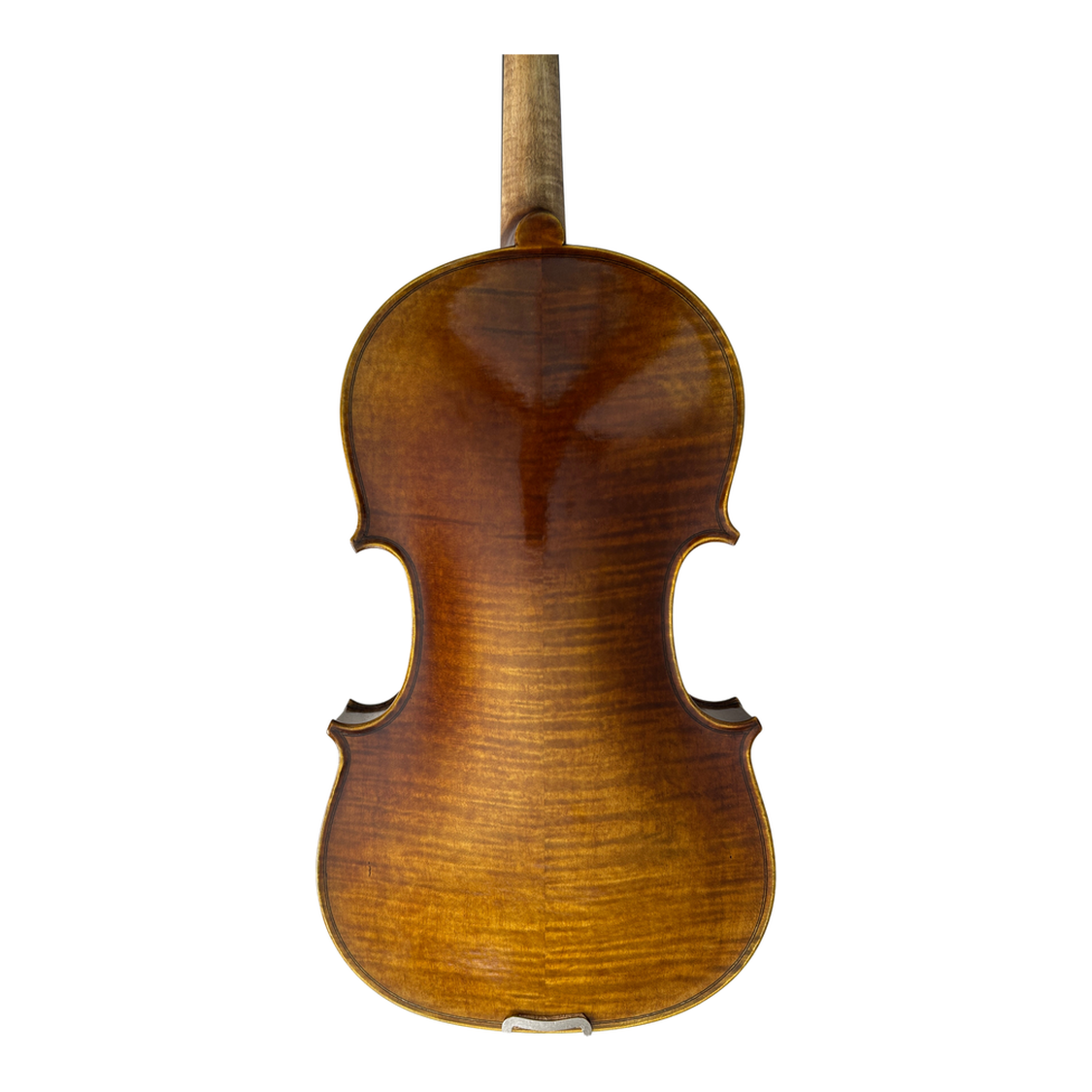Prima P220 Back