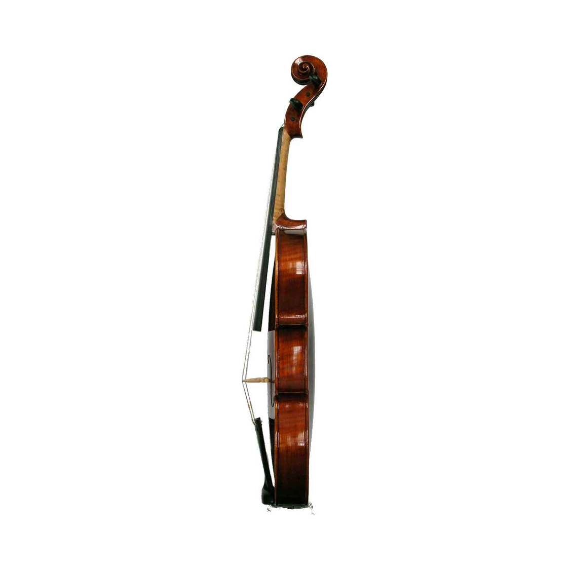 Prima P120 Head