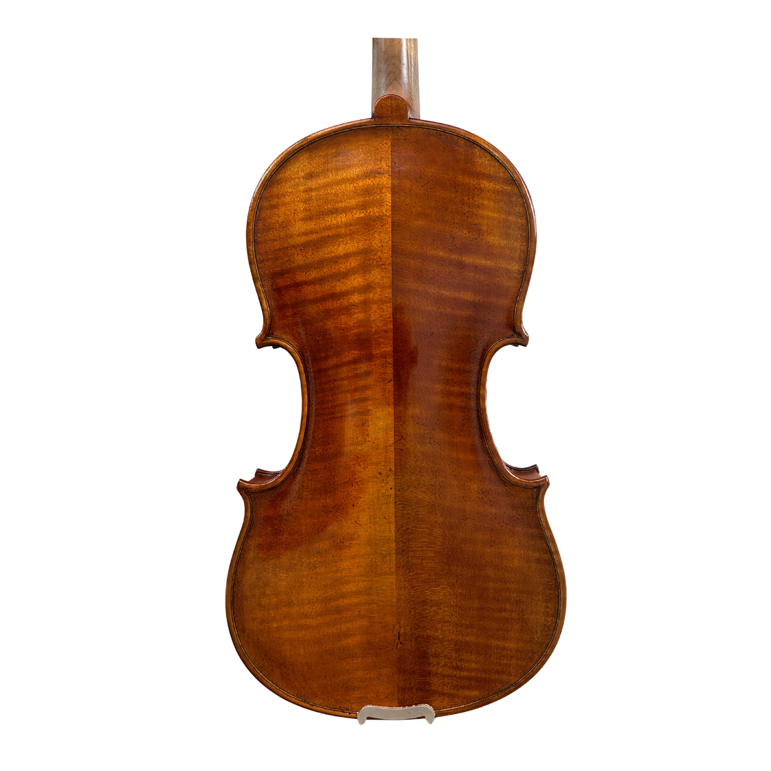 Prima P211 Back