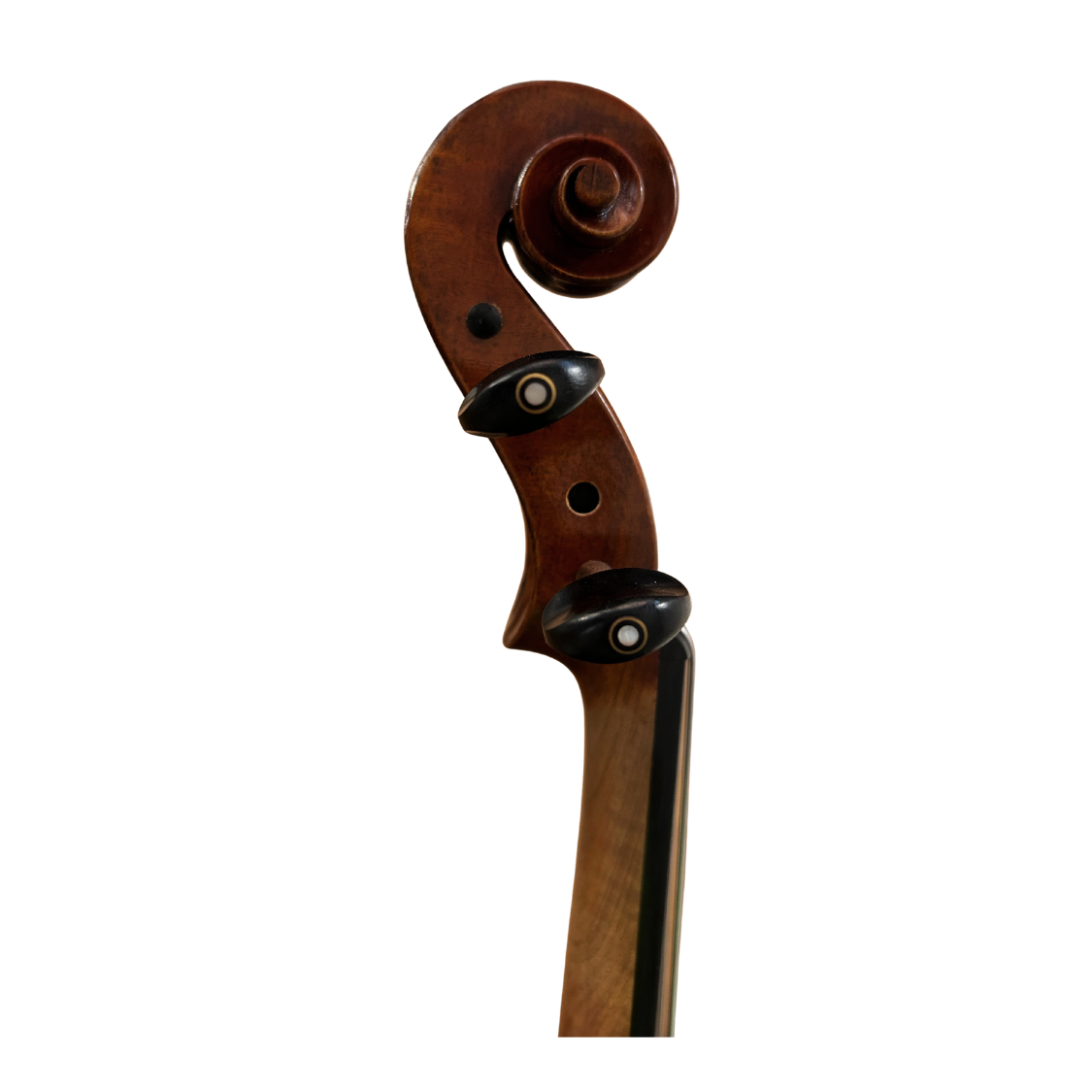 Prima P211 Head