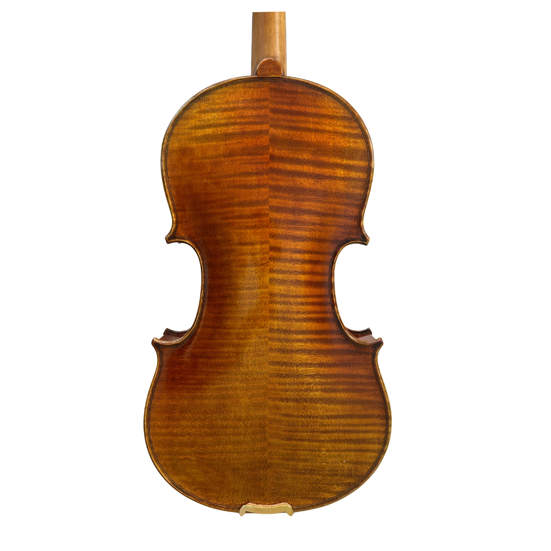 Prima P212 Back