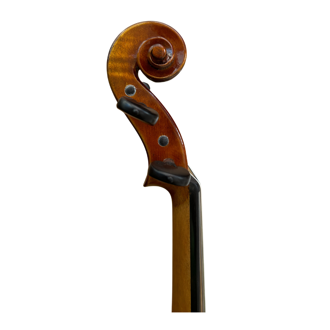 Prima P212 Head