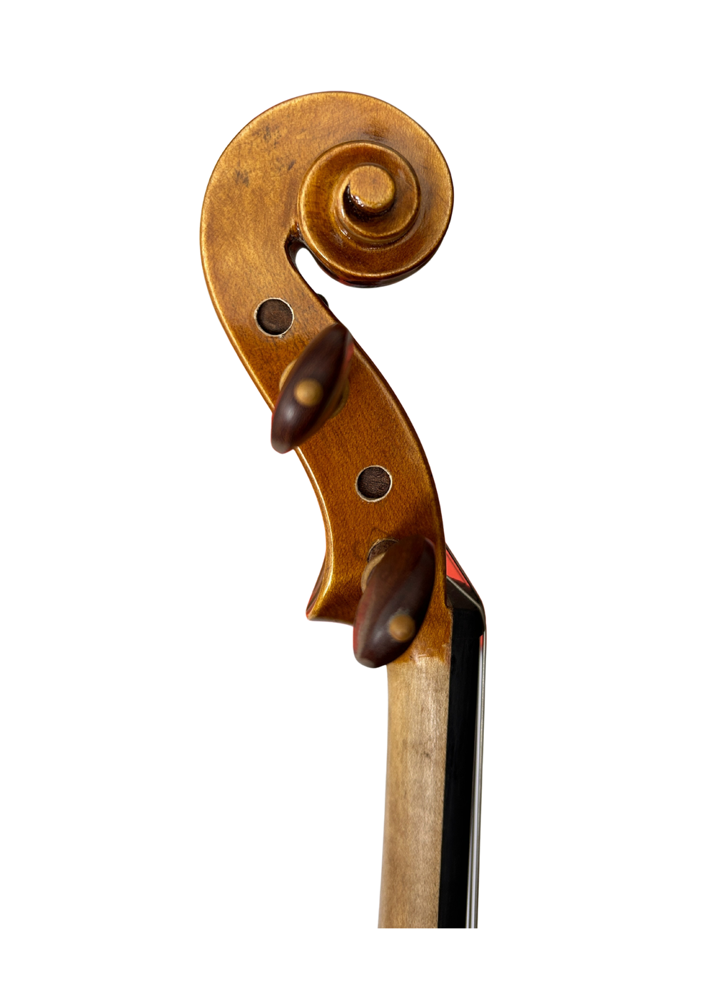 Prima P213 Head