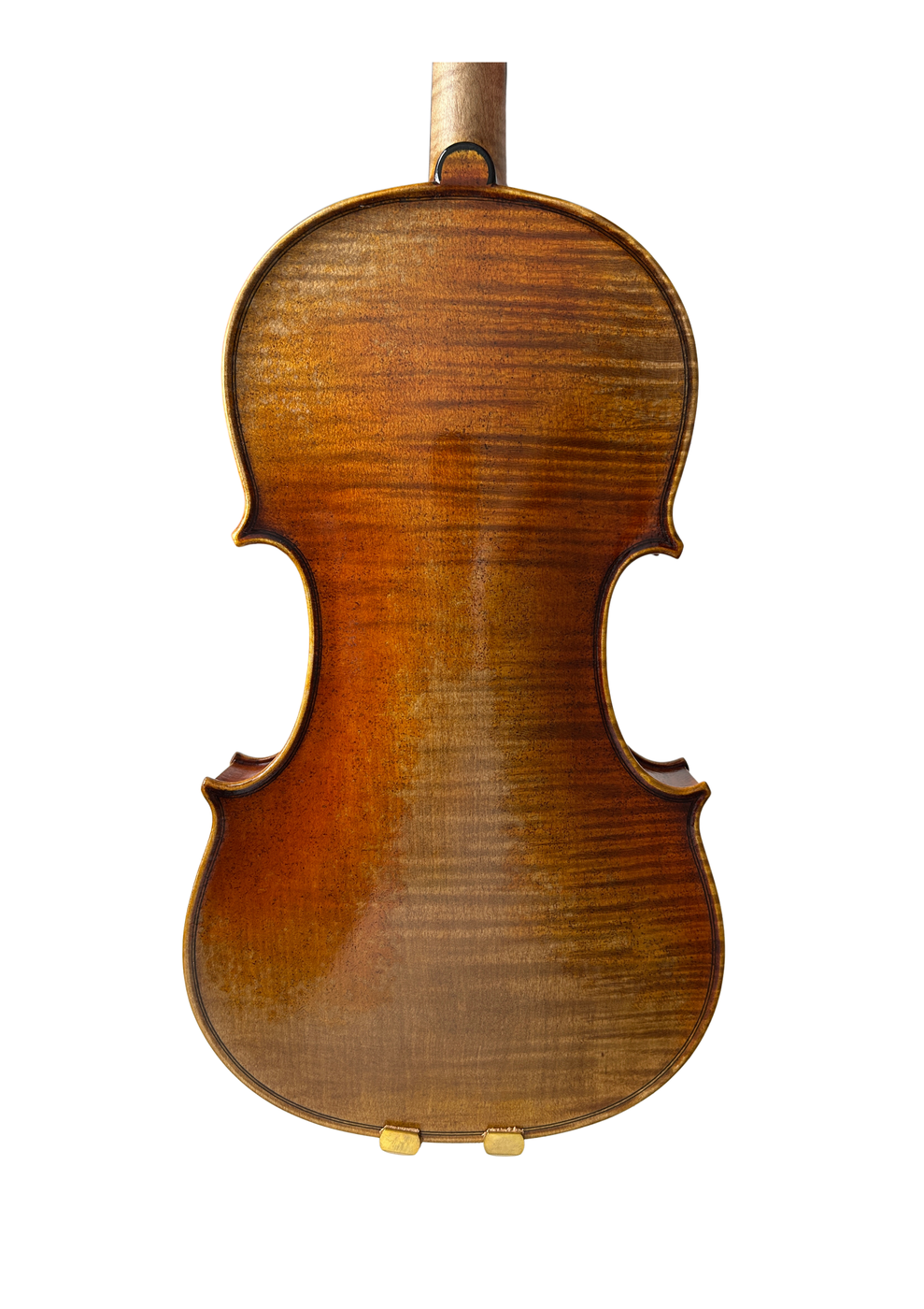 Prima P214 Back