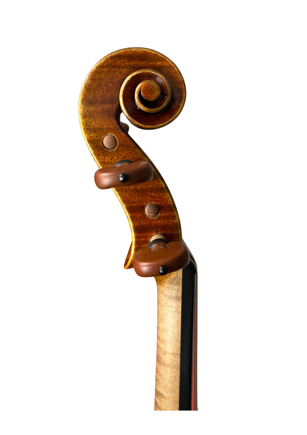 Prima P214 Head