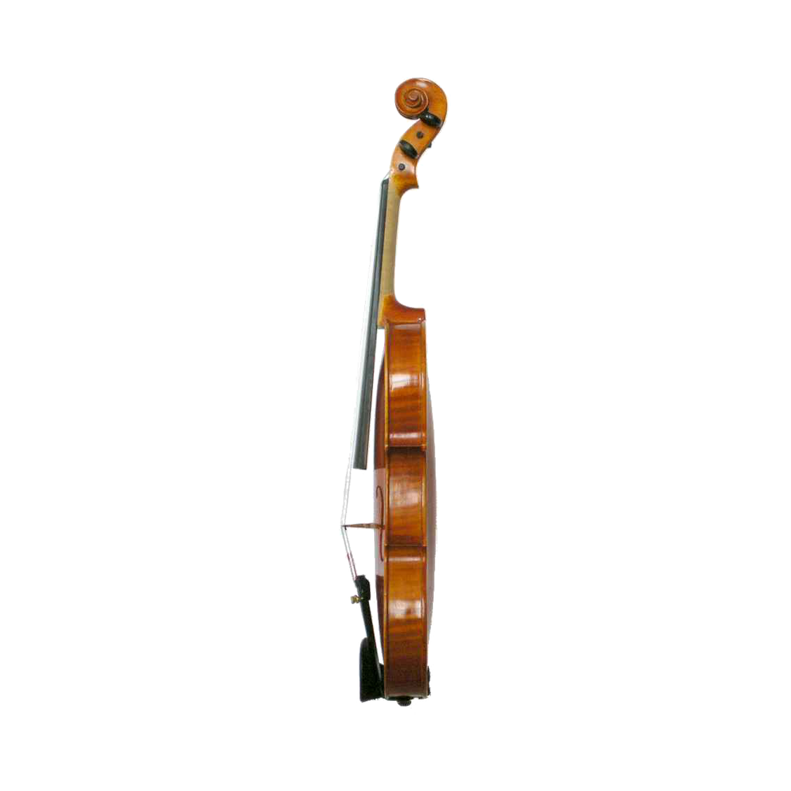 Prima P110 Head